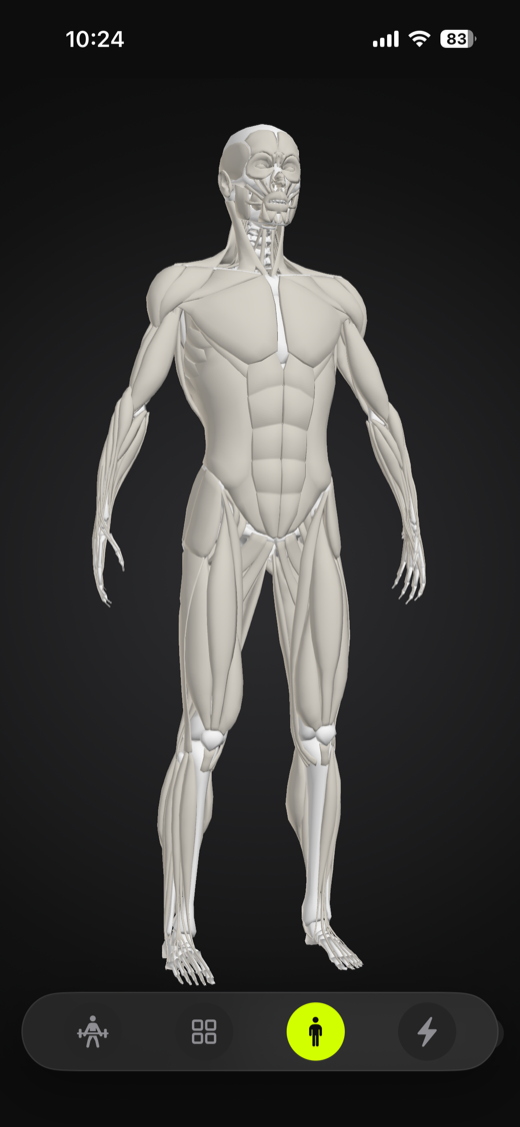 3D 解剖探索